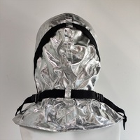 TZL30 Capuche Fournisseur Chinois Accessoire d'équipement de lutte contre l'incendie Masque d'évacuation en alliage d'aluminium Fumée Protection contre le monoxyde de carbone