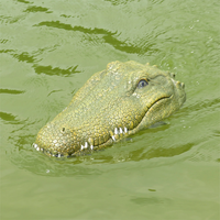 Bateau de course télécommandé Flytec V002 Crocodile Head 2.4G, étanche, électrique, 4 canaux, portée 30m, jouet farfelu pour piscine et lac, échelle 1:18