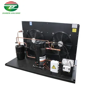 Jialiang Efeito Rápido Unidade De Refrigeração Refrigerador Unidade De Condensação Congelador 5 Hp Unidade De Condensação Sala Fria