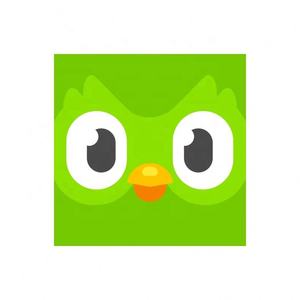 Cuenta Premium Duolingo Pro 1 Año, Activa Tu Propia Cuenta, Aplicable Globalmente en Todo el Mundo - Product Image 3
