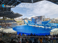 Grand aquarium carré en acrylique conçu sur mesure style moderne et luxueux