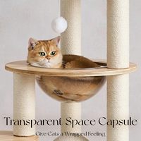 Arbre à chat moderne en bois massif écologique, 49 pouces de haut, 4 niveaux, poteaux à gratter en sisal, léger (1,5 kg) pour chats de grande taille, usage intérieur
