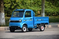 Fourgons et camionnettes électriques YS économiques de Shandong pour le ramassage de marchandises, le transport, les trajets quotidiens et la livraison