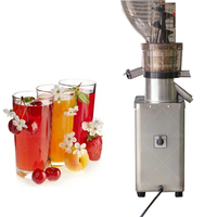 Presse-agrumes commercial puissant à vitesse lente pour fruits et légumes, carotte, jus de gingembre, presse-agrumes à froid en acier inoxydable pour pomme