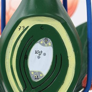 Modelo de flor de melocotón, de planta modelo anatómico, estructura de flor dicotiledónea, anatomía, planta verde, estambre, <span class=keywords><strong>pistilo</strong></span>, biología, ciencia - Product Image 2