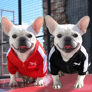 Rompi Anjing Hangat Musim Gugur dan Musim Dingin Metode Alfabet Doudou Bear Pakaian Hewan Peliharaan untuk Anjing dan Kucing Ukuran Kecil, Sedang, Besar - Product Image 1