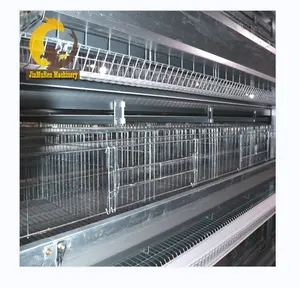 Jinmuren multi tiers fully automatic battery chicken layer cage equipment system