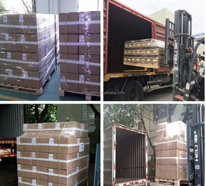 <span class=keywords><strong>Rocky</strong></span> Mountain Goods Bâche en polyéthylène noir 4 mil, rouleau <span class=keywords><strong>de</strong></span> 10 pi x 100 pi, barrière robuste pour le jardinage, la lutte contre les mauvaises herbes et l'aménagement paysager - Product Image 3
