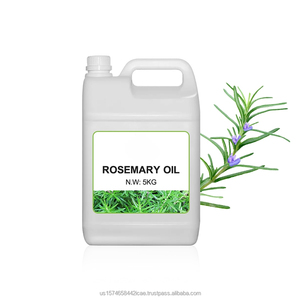 Huile essentielle de romarin de haute qualité huile essentielle de plante entièrement naturelle en gros en vrac pour le soin des cheveux du corps - Product Image 1