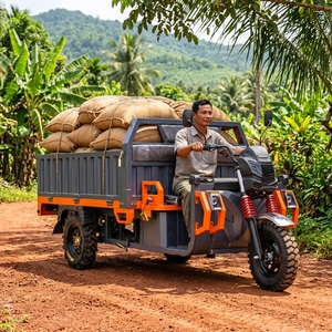 รถสามล้อเครื่องยนต์กำลังสูง 3000 วัตต์ รับน้ำหนักได้ 2000 กก. พร้อมกล่องเก็บของสำหรับขาย รถสามล้อบรรทุกหนัก รับน้ำหนักได้ 2000 กก. - Product Image 6
