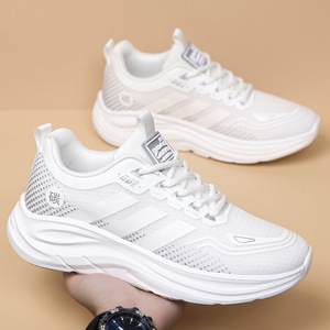 Zapatos informales para parejas, de malla de seda helada, transpirables, de alta elasticidad, con suela suave, combinables con todo, a la moda, para estudiantes de secundaria - Product Image 1