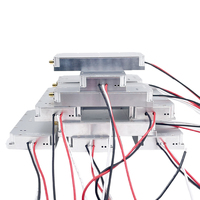 Module amplificateur de puissance RF à fréquence personnalisée 30W 50W 100W 433M 900M 1.2G 1.5G 2.4G 5.8G, module amplificateur de signal RF haute puissance