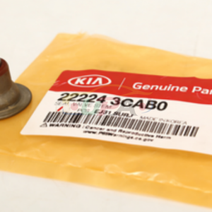 Système moteur de haute qualité SEAL-VALVE STEM 22224-3CAB0 222243CAB0 pour Hyundai ACCENT 22224 3CAB0 - Product Image 2