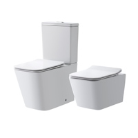 WC sans bride en céramique à double chasse, deux pièces, avec abattant à fermeture douce et dégagement rapide, design moderne et compact, sanitaires.
