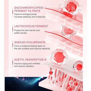 Sakura Care Set Producto para el cuidado de la piel Hidratante Limpiador Crema de tóner Kits faciales Juego de cuidado de la piel - Product Image 3