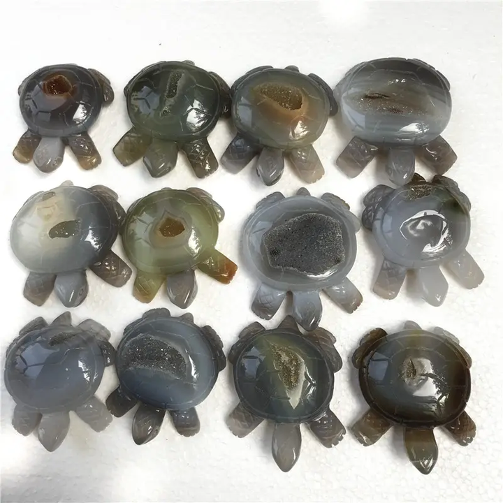 ジオード亀 ジオード亀