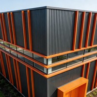 Edificio de Estructura de Acero con Paneles de Acero Recubiertos de Color Negro y Naranja Modernos, Lámina de Acero de Color Personalizado para Almacenes y Talleres