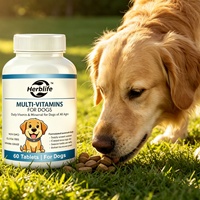 Vente en gros d'usine OEM Personnalisé Soins de santé Multivitamines Universelles Comprimés Multivitaminés pour Chiens et Chats Complément Nutritionnel
