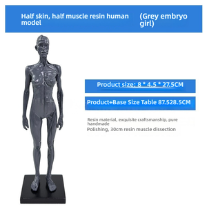Modèle d'artiste anatomique en PVC de 30cm-Femme Homme pour la formation CG Dessin Sculpture Art Education Focus Muscle Structure squelettique - Product Image 4