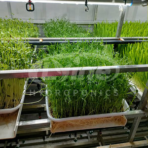 Machine de germination d'<span class=keywords><strong>orge</strong></span> entièrement automatique 500kg/jour/ferme de conteneur de fourrage de germination de germe de haricot pour la culture de fourrage vert - Product Image 6