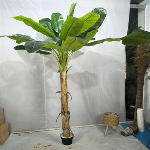 Offre Spéciale d'usine à <span class=keywords><strong>prix</strong></span> raisonnable Vente <span class=keywords><strong>en</strong></span> gros <span class=keywords><strong>Bananier</strong></span> artificiel <span class=keywords><strong>en</strong></span> <span class=keywords><strong>pot</strong></span> à haute simulation de Chine pour la décoration intérieure moderne - Product Image 3