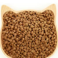 Makanan Kucing OEM Rasa Daging Sapi Kaya Protein Alami Bentuk Bintang Formula Sains Bebas Biji-bijian untuk Kesehatan Pencernaan Makanan Kering