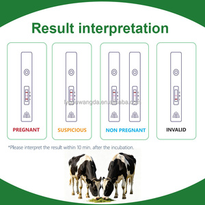 Kit <span class=keywords><strong>de</strong></span> Prueba Rápida <span class=keywords><strong>de</strong></span> <span class=keywords><strong>Embarazo</strong></span> PAG Bovino Veterinario, Precio <span class=keywords><strong>de</strong></span> Fábrica, Prueba <span class=keywords><strong>de</strong></span> <span class=keywords><strong>Sangre</strong></span> Completa/Serum para Detección en Ganado Lechero y Cría <span class=keywords><strong>de</strong></span> Bovinos - Product Image 5