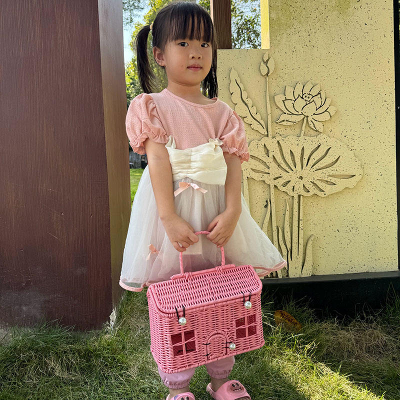 Pink 24*14*16cm with door (430g)