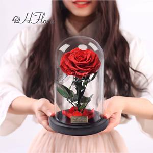 هورد بسعر الجملة-عناصر الهدايا الفاخرة هدية فاخرة مع الحفاظ على الملاكمة في قبة زجاجية - Product Image 1