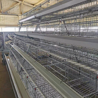 Système d'alimentation automatique pour cages à poules pondeuses QIANQIN, en fil d'acier à faible teneur en carbone, équipement d'élevage avicole, cage en batterie pour poules pondeuses 5+
