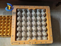 Moule à œufs en plastique 295*295mm, prix d'usine, utilisé pour la ligne de production manuelle de cartons à œufs 1x3, machine à fabriquer des barquettes à œufs