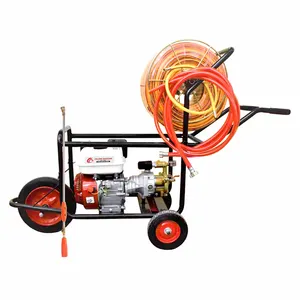 Garden 6.5hp Recoil Start 25mm Direct And Coupled Connection Gasoline Power Sprayer