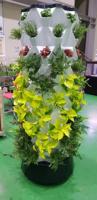 Serre intelligente à faible coût tour verticale aéroponique systèmes de culture hydroponique de jardin à vendre