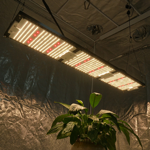 2025 mới nhất kingbrite 320 wát LED 288 Board lm301h mix XP-E2/XP-G3 660nm Đỏ phát triển ánh sáng - Product Image 5