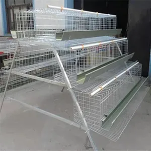 Différents types de cage d'élevage de poulets/cage de poule pondeuse/cage de poulet à vendre