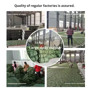 <span class=keywords><strong>Filet</strong></span> de <span class=keywords><strong>camouflage</strong></span> durable en polyester pour la chasse, motif <span class=keywords><strong>camouflage</strong></span> woodland/désert, <span class=keywords><strong>filet</strong></span> d'entraînement, <span class=keywords><strong>filet</strong></span> d'ombrage pour <span class=keywords><strong>voiture</strong></span>, <span class=keywords><strong>filet</strong></span> extérieur décoratif - Product Image 6