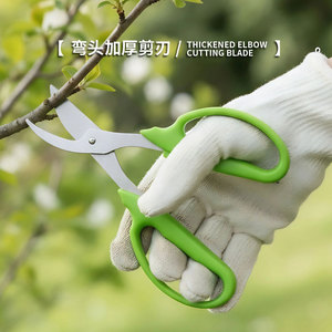 Sécateur de jardin en acier inoxydable avec manche vert pour la taille des arbres et des fleurs, utilisation extérieure - Product Image 3