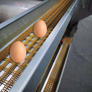 Fabrika doğrudan şerit yumurta konveyör bant 100MM genişlik delikli yumurta konveyör bant toplamak - Product Image 1