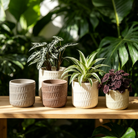 Pot en béton texturé style Wabi Sabi, pot de fleurs en ciment multicolores pour plantes vertes de bureau, personnalisable
