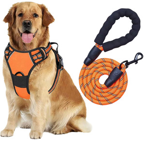 Laisse anti-choc extensible pour chien, harnais de poitrine de type harnais pour chiens de taille moyenne/grande, laisse de promenade pour chien, vente en gros d'usine - Product Image 5