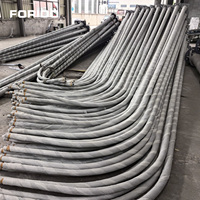 Poteau d'éclairage de rue FORIDO résistant au vent en acier galvanisé Q235, support de type bras antirouille pour l'éclairage extérieur