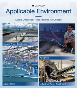 Système RAS intégré à eau stable et à haut rendement pour l'élevage de crevettes et la production de moules dans des systèmes de recirculation - Product Image 5