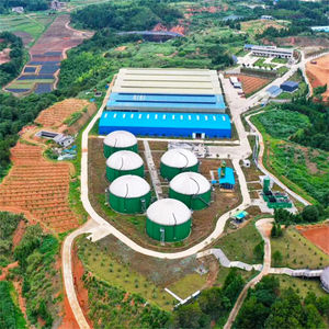 Équipement de <span class=keywords><strong>capture</strong></span> <span class=keywords><strong>et</strong></span> de <span class=keywords><strong>stockage</strong></span> <span class=keywords><strong>du</strong></span> biogaz de qualité supérieure, séparateur de solution d'amines moins corrosive pour le biogaz H2S, <span class=keywords><strong>capture</strong></span> <span class=keywords><strong>du</strong></span> <span class=keywords><strong>CO2</strong></span> <span class=keywords><strong>du</strong></span> biogaz - Product Image 6