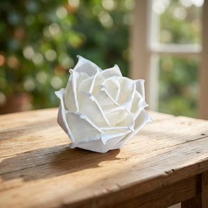 Beautiful White Rose Sola Wood Flowers 8cm Bulk <b>Reed</b> <b>Diffuser</b> Indoor Wedding Decorations Environmental Friendly Wholesale - Product Image 2