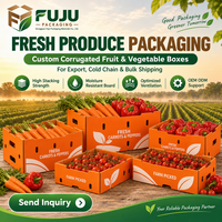 Boîtes rigides en carton ondulé de haute qualité, écologiques et résistantes, personnalisables avec différentes formes et impression de logo sur mesure pour FUJU
