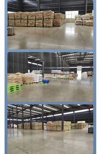 Eliminación de aguas residuales Coagulante en polvo Poly cloruro de aluminio Pac 30% Tratamiento de aguas residuales Químico Pac <span class=keywords><strong>Floculante</strong></span> - Product Image 5