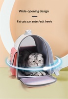 Sac de transport respirant pliable pour chiens et chats, sac à dos d'extérieur pour animaux de compagnie, accessoires pour animaux, fournitures pour chats