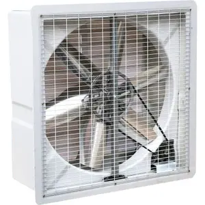 dairy farm large air volume cattle shed window mounted belt drive exhaust fan