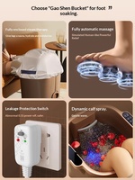 Bain de pieds massant multifonctionnel à température contrôlée DEBEI ZY-808 avec fonction musicale, électrique filaire, 4,6 kg, pour massage des pieds