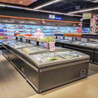 Congélateur d'îlot pour supermarché à économie d'énergie, congélateur à dégivrage automatique, vitrine de présentation